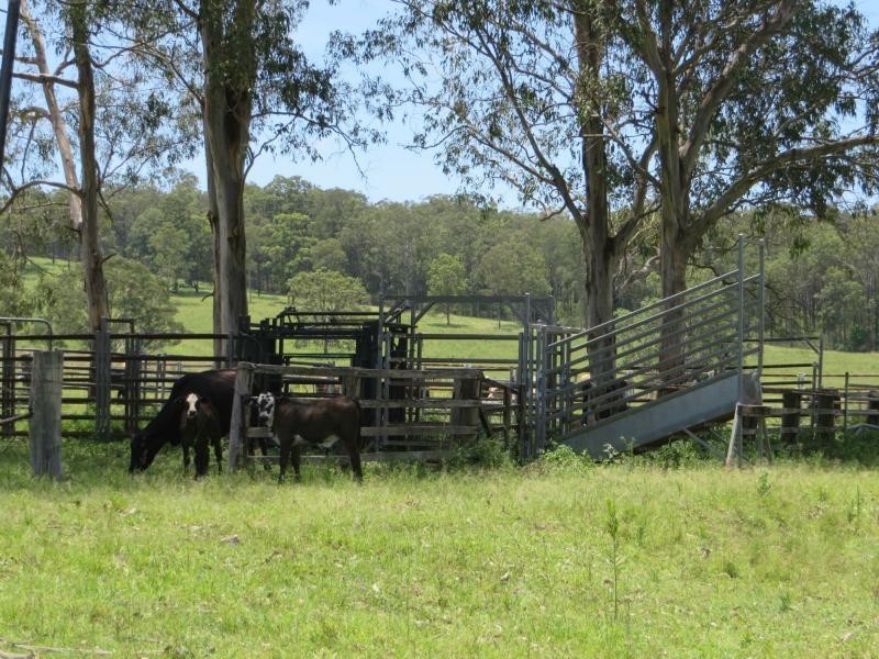 35 Walsh Rd , VIA CASINO, Dyraaba NSW 2470