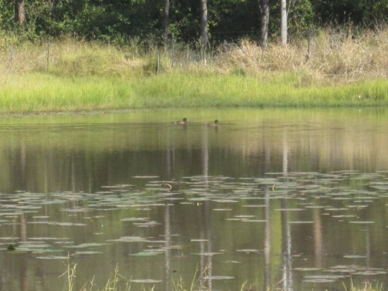 164 Busbys Flat Road, Casino NSW 2470