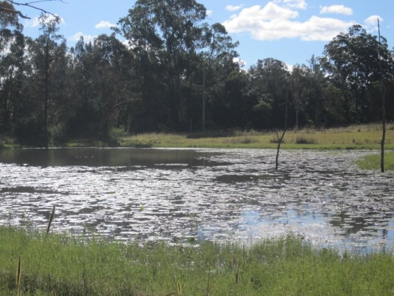 164 Busbys Flat Road, Casino NSW 2470