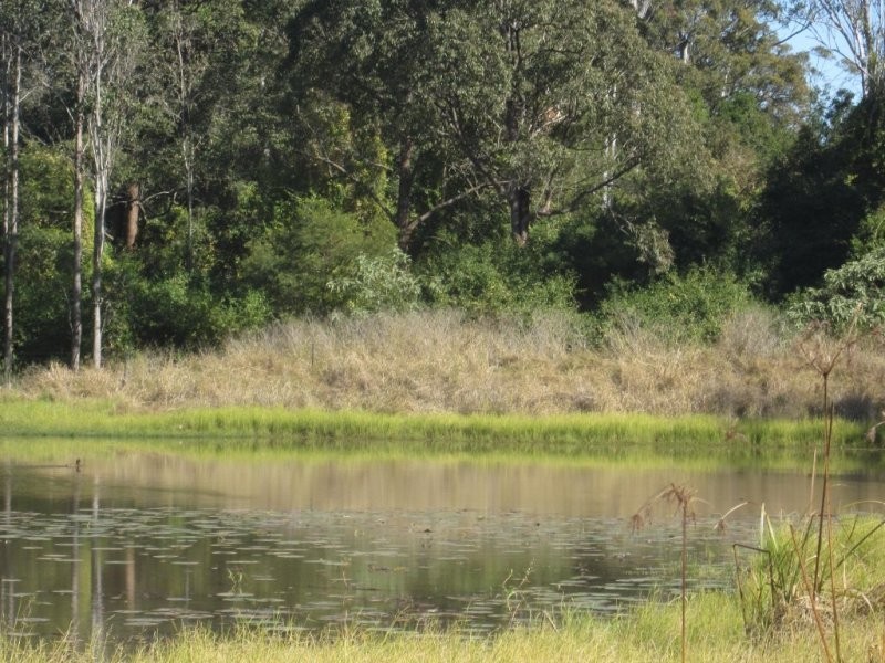 164 Busbys Flat Road, Casino NSW 2470