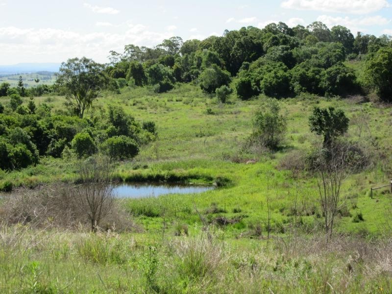 PL1 Parrots Nest Road, South Gundurimba, Lismore NSW 2480