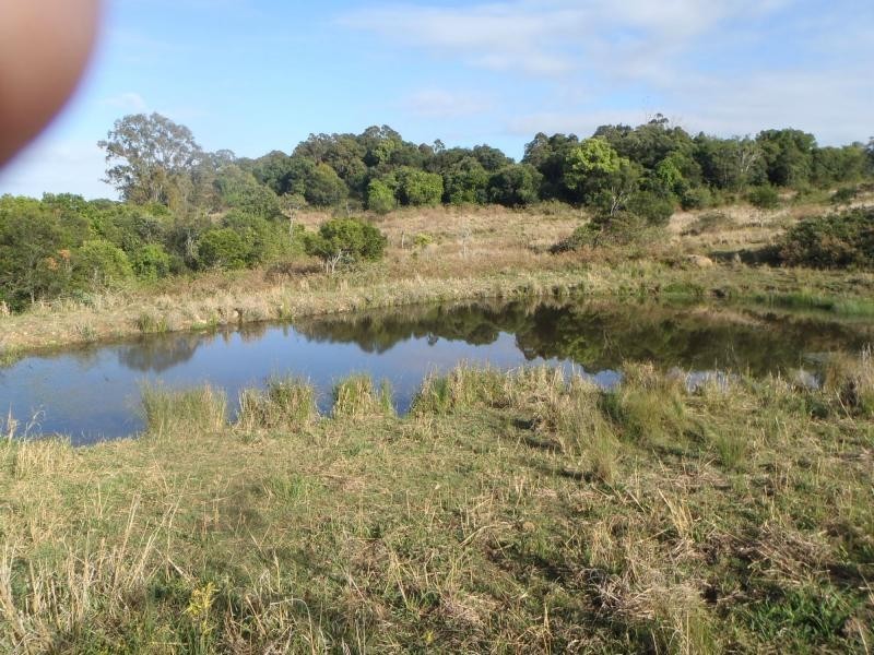 PL4 Parrots Nest Road, South Gundurimba, Lismore NSW 2480