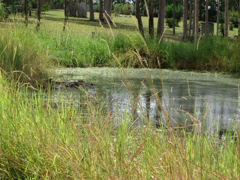 635 Mongogarie Road, Casino NSW 2470