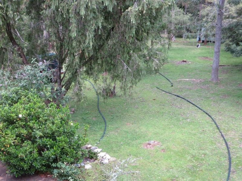336 Sugarbag Rd West , VIA CASINO / TENTERFIELD, Drake NSW 2469