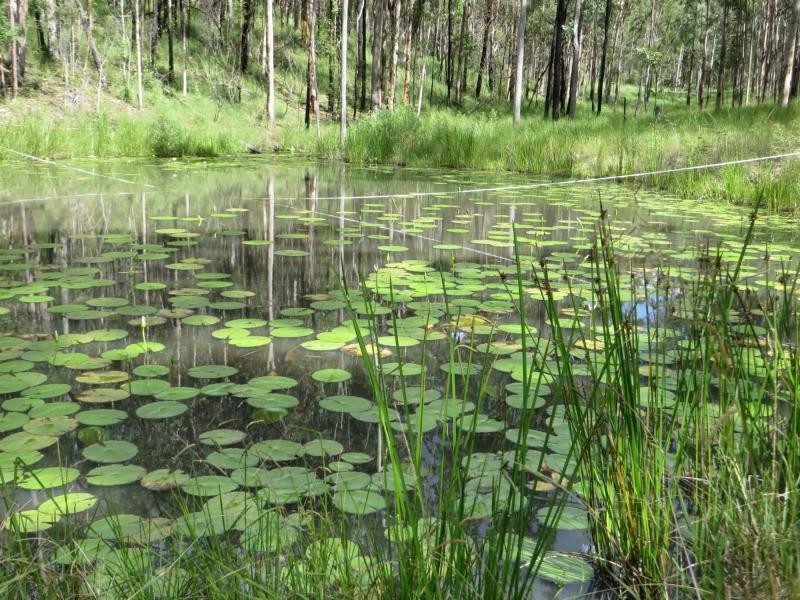 L42 Summerland Way , VIA CASINO, Whiporie NSW 2469