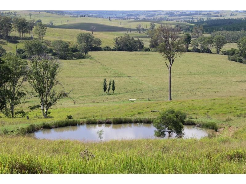 12881 Clarence Way, Tunglebung NSW 2469