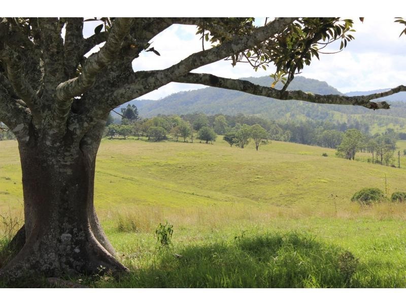 12881 Clarence Way, Tunglebung NSW 2469