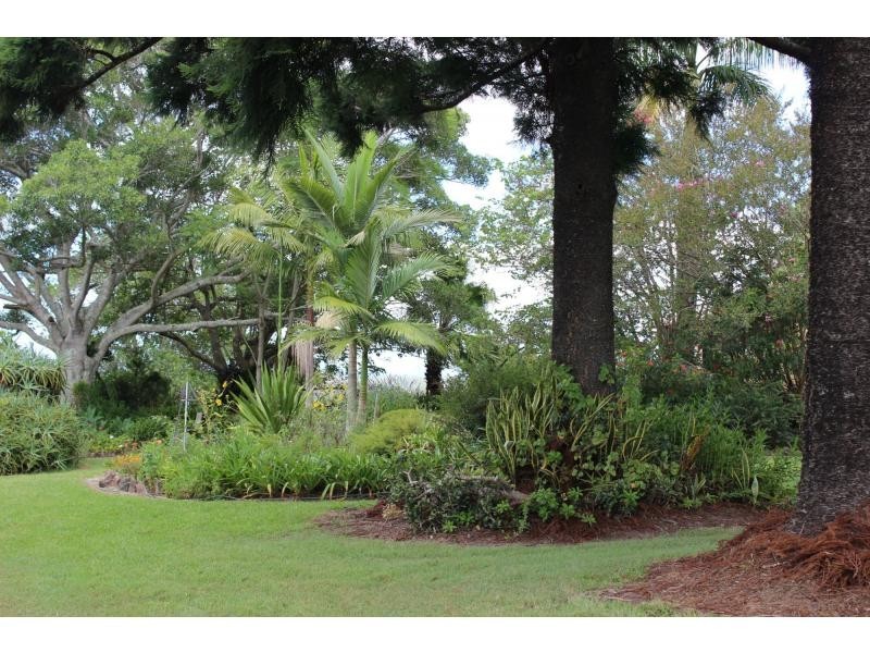 12881 Clarence Way, Tunglebung NSW 2469