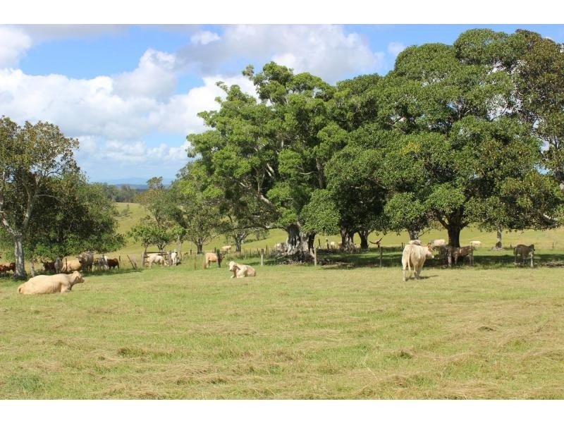 12881 Clarence Way, Tunglebung NSW 2469