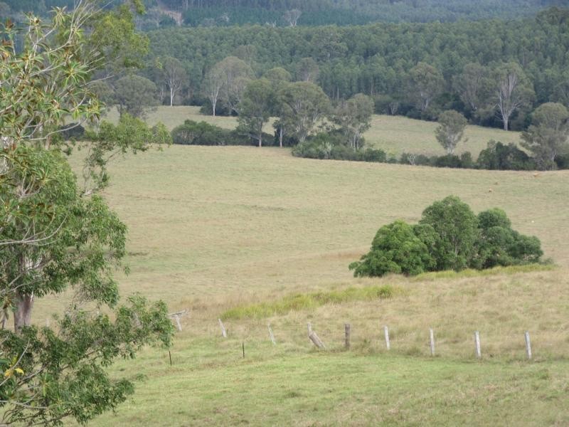 12881 Clarence Way, Tunglebung NSW 2469