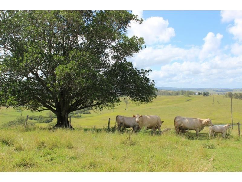 12881 Clarence Way, Tunglebung NSW 2469