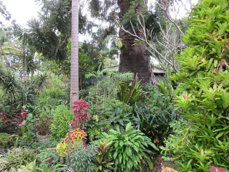 12881 Clarence Way, Tunglebung NSW 2469