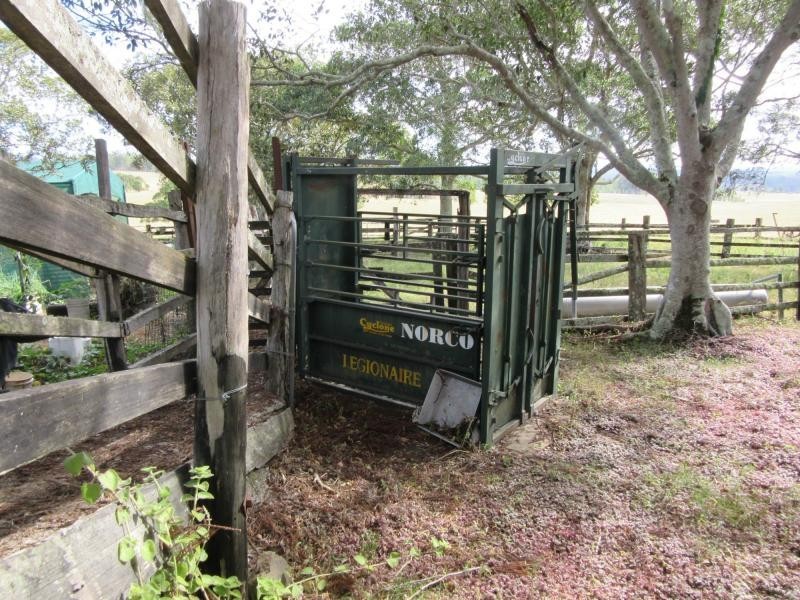 12881 Clarence Way, Tunglebung NSW 2469