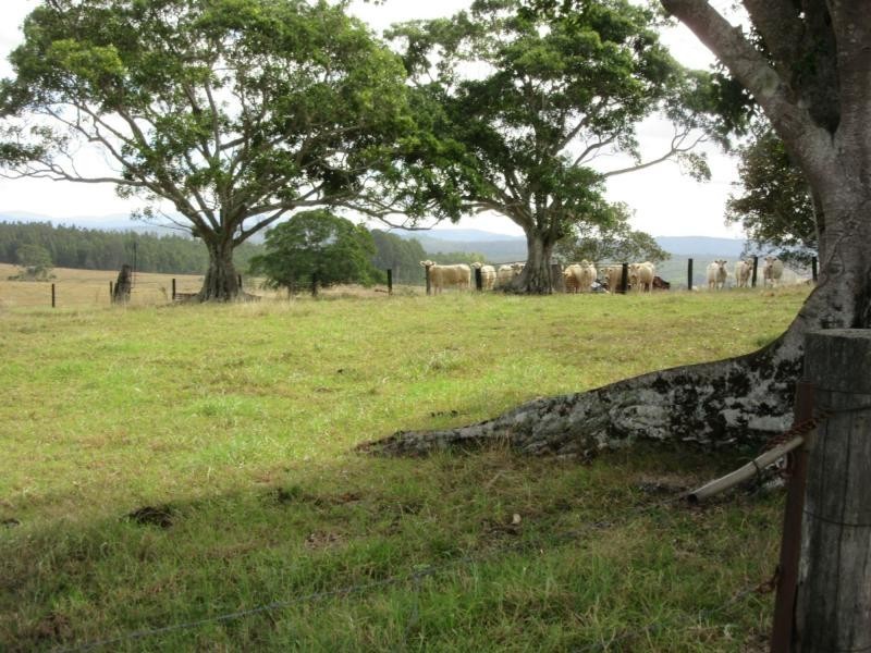 12881 Clarence Way, Tunglebung NSW 2469