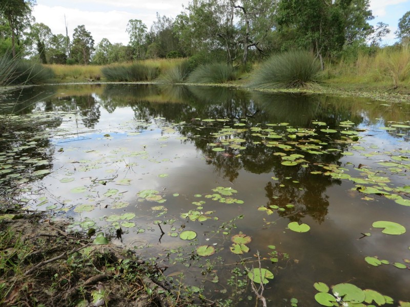 Rappville NSW 2469
