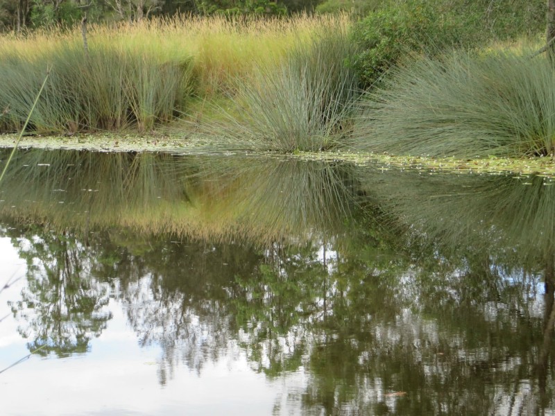 Rappville NSW 2469