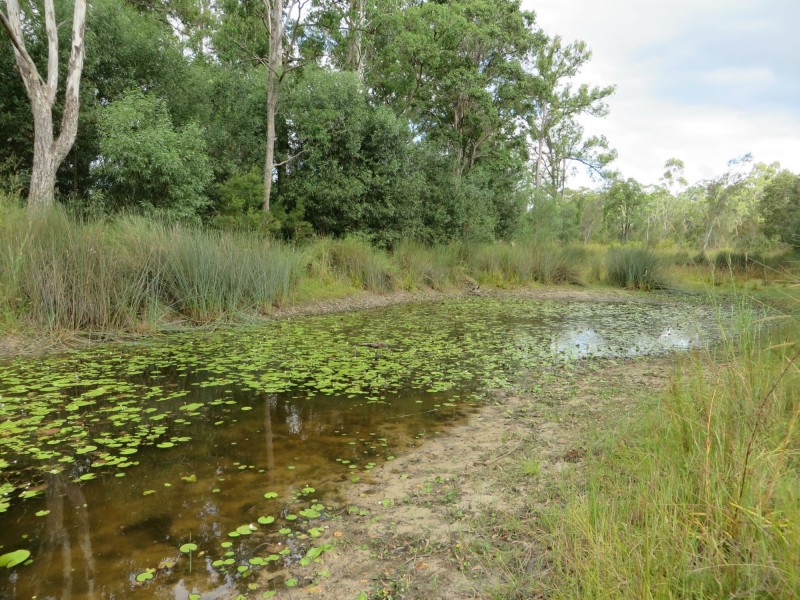 Rappville NSW 2469