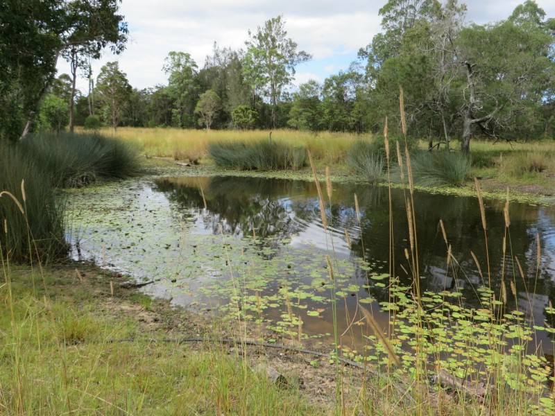 Rappville NSW 2469