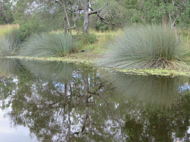 Rappville NSW 2469