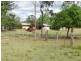 Rappville NSW 2469