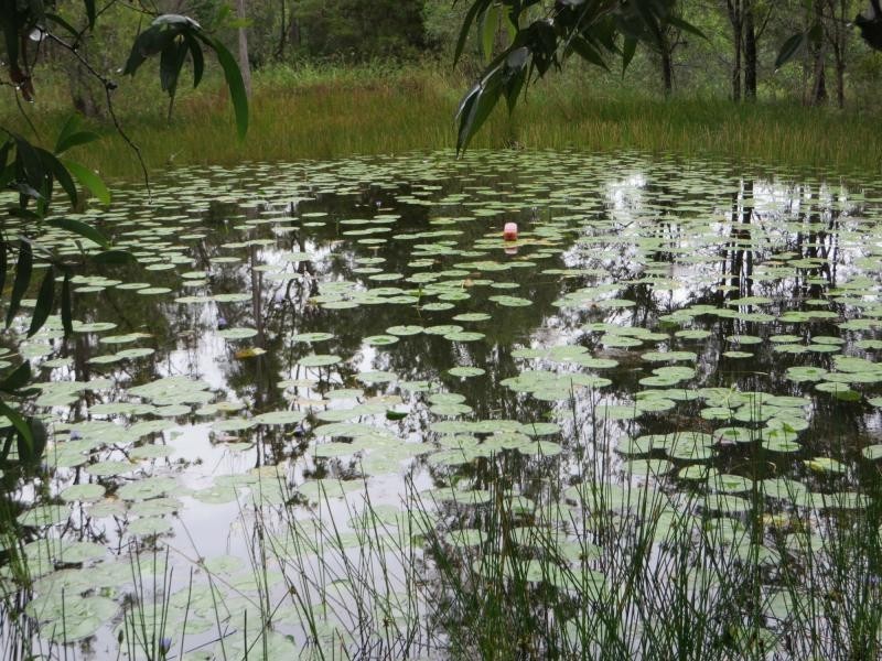 L4 Summerland Way , VIA CASINO, Whiporie NSW 2469