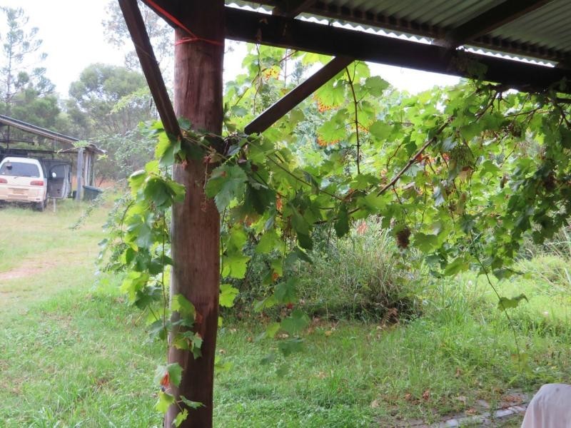 L4 Summerland Way , VIA CASINO, Whiporie NSW 2469