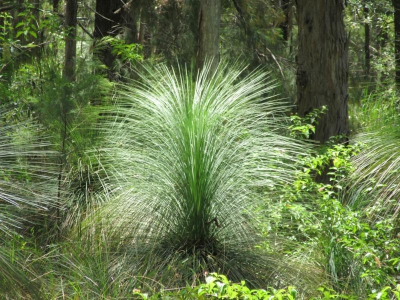 400 Ogilvie Drive, VIA CASINO, Tabulam NSW 2469