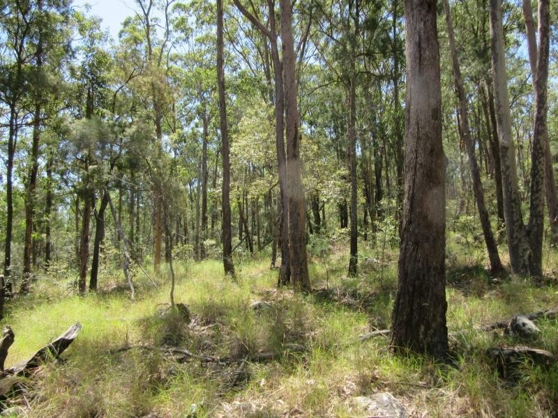 400 Ogilvie Drive, VIA CASINO, Tabulam NSW 2469