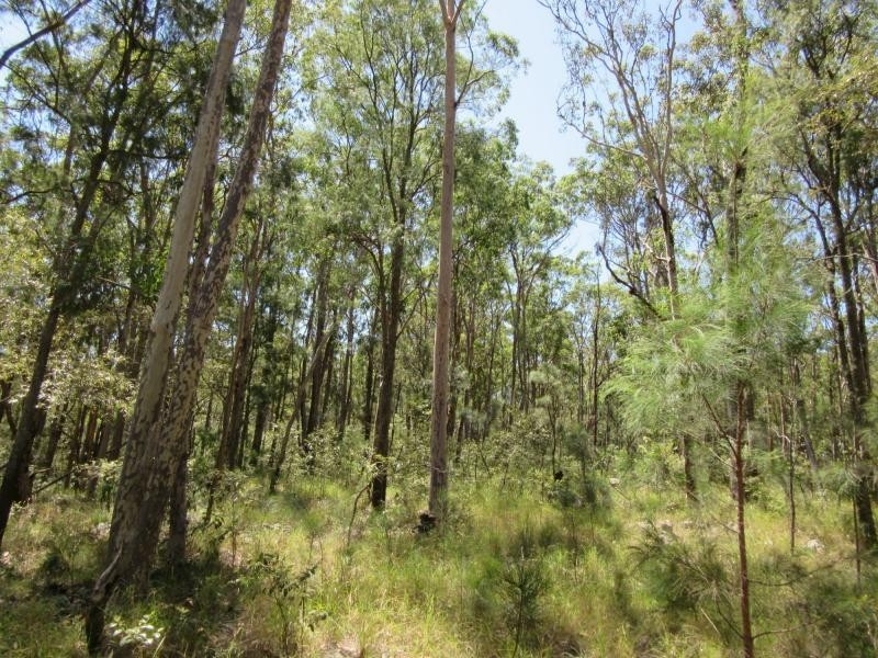 400 Ogilvie Drive, VIA CASINO, Tabulam NSW 2469