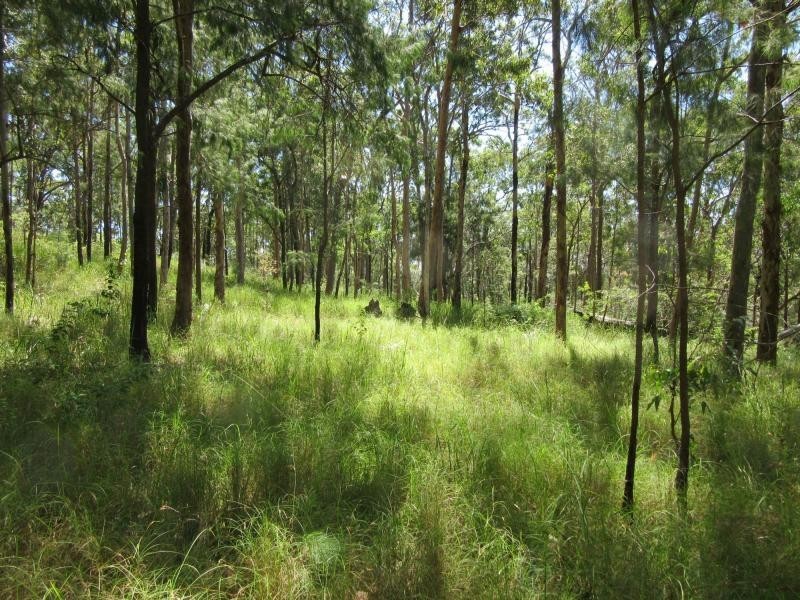 400 Ogilvie Drive, VIA CASINO, Tabulam NSW 2469