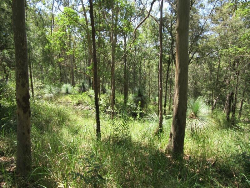 400 Ogilvie Drive, VIA CASINO, Tabulam NSW 2469