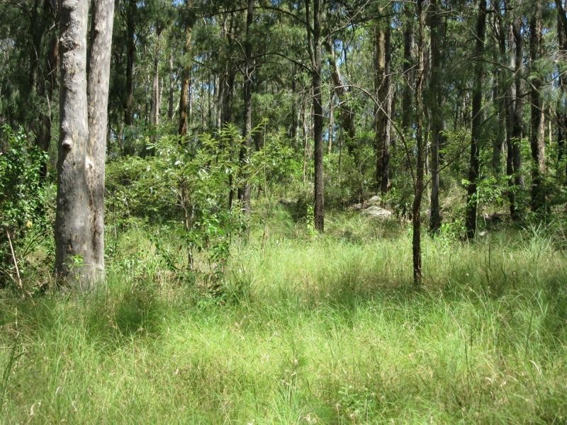 400 Ogilvie Drive, VIA CASINO, Tabulam NSW 2469