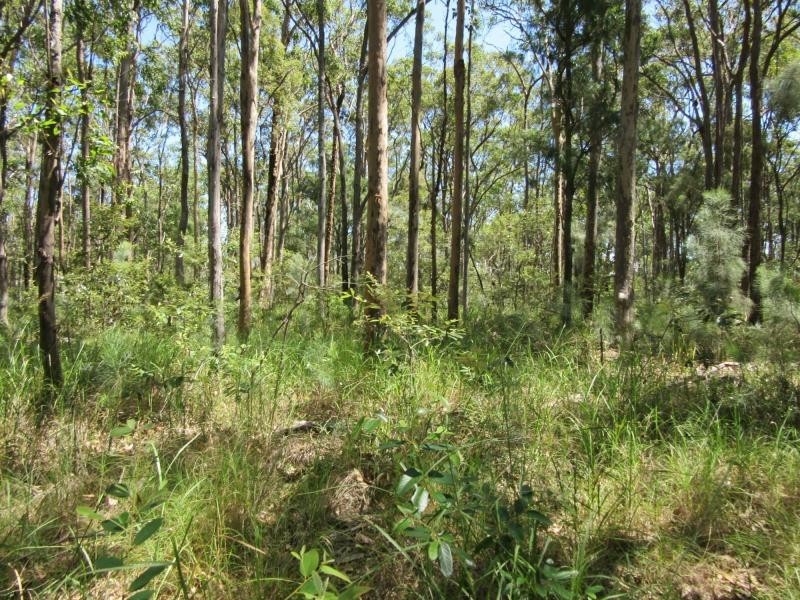 400 Ogilvie Drive, VIA CASINO, Tabulam NSW 2469