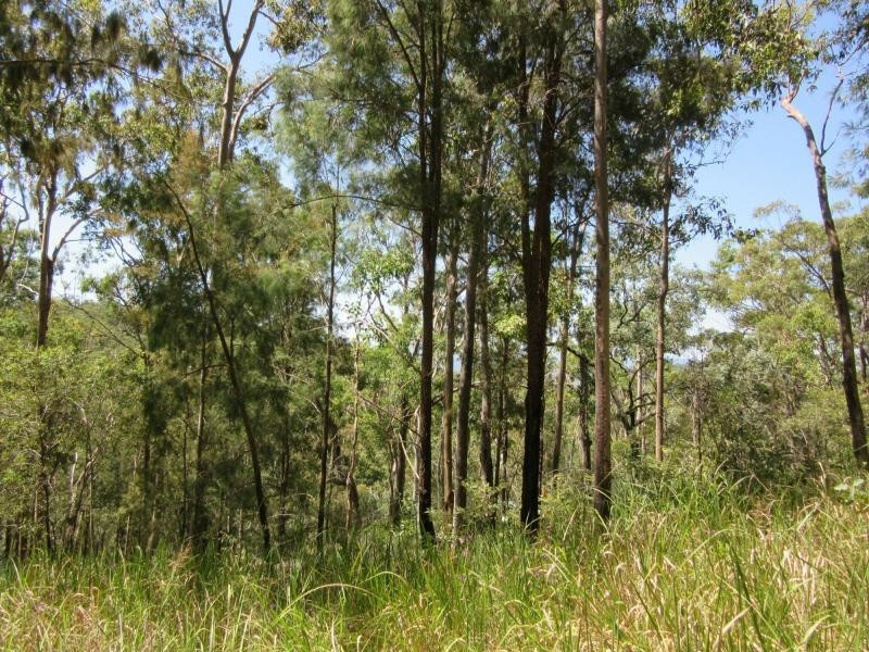 400 Ogilvie Drive, VIA CASINO, Tabulam NSW 2469