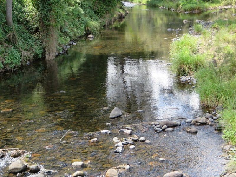 Lot 7 Bulldog Road, Tabulam NSW 2469