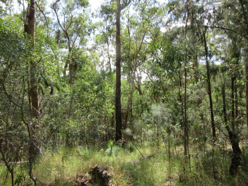 Lot 7 Bulldog Road, Tabulam NSW 2469