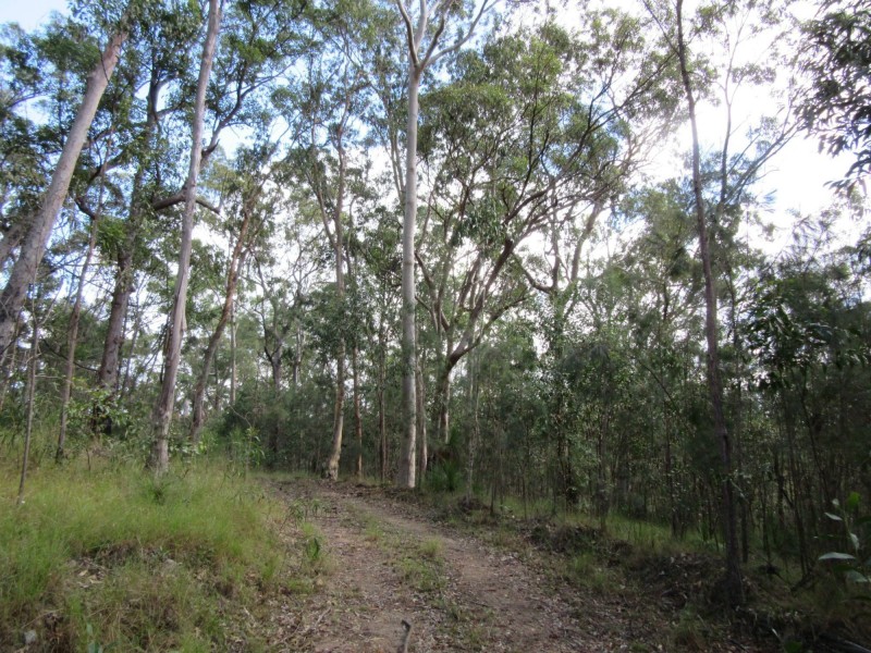 Lot 7 Bulldog Road, Tabulam NSW 2469