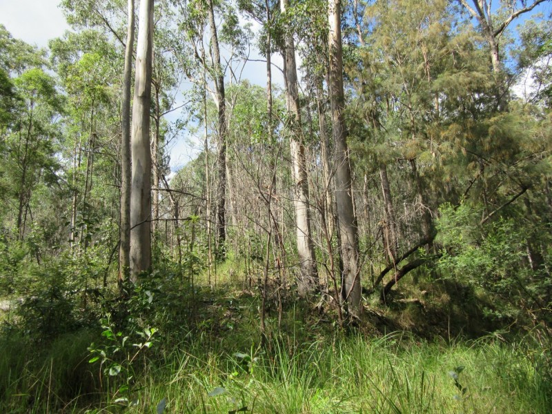Lot 7 Bulldog Road, Tabulam NSW 2469