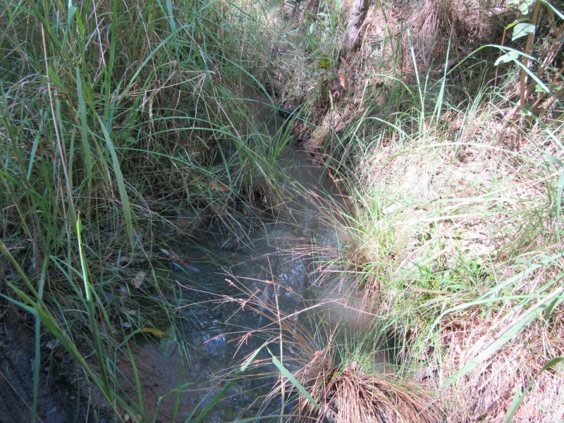 Lot 7 Bulldog Road, Tabulam NSW 2469