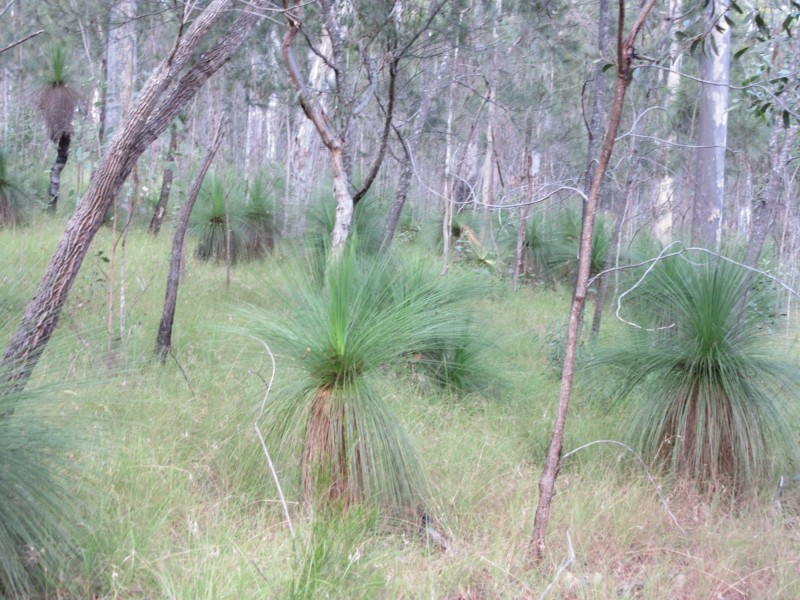 Lot 7 Bulldog Road, Tabulam NSW 2469
