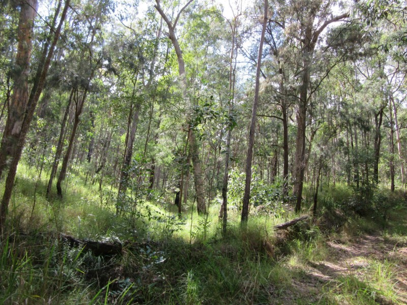 Lot 7 Bulldog Road, Tabulam NSW 2469