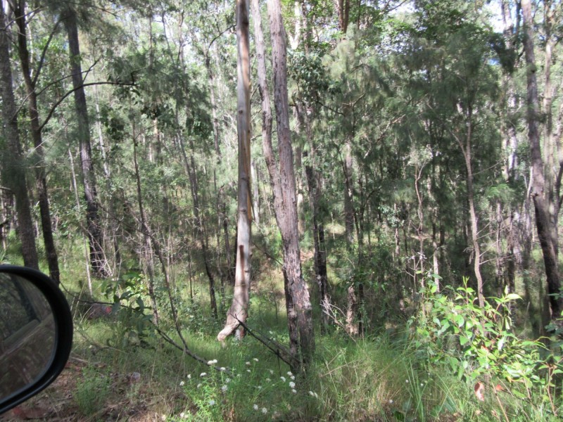 Lot 7 Bulldog Road, Tabulam NSW 2469