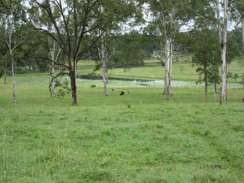 Lot 1 Runnymede Road, Kyogle NSW 2474