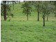 Lot 1 Runnymede Road, Kyogle NSW 2474