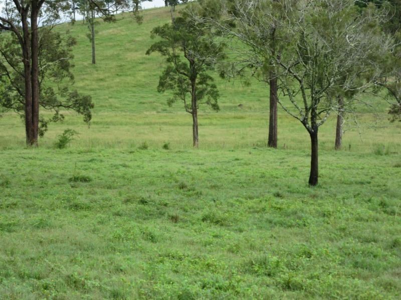 Lot 1 Runnymede Road, Kyogle NSW 2474