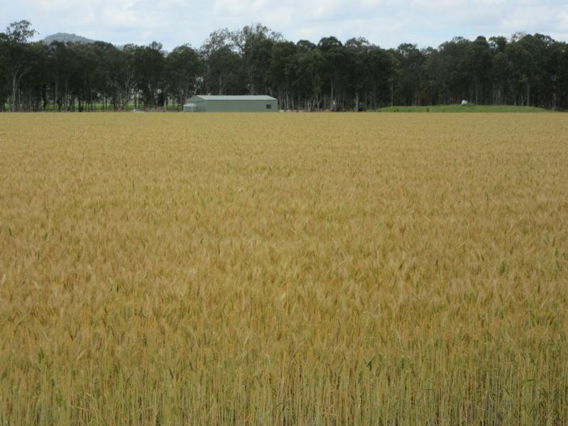 234a Bruxner Highway, Casino NSW 2470