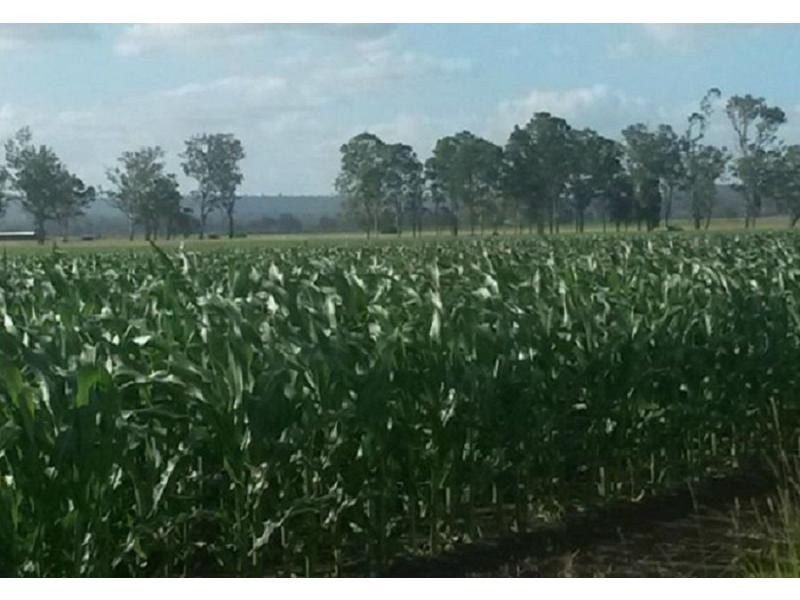 234a Bruxner Highway, Casino NSW 2470