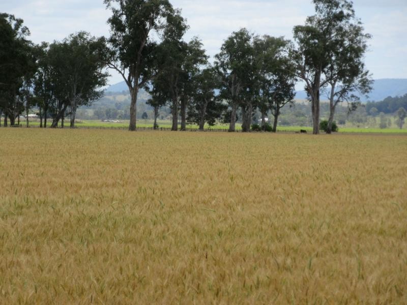 234a Bruxner Highway, Casino NSW 2470