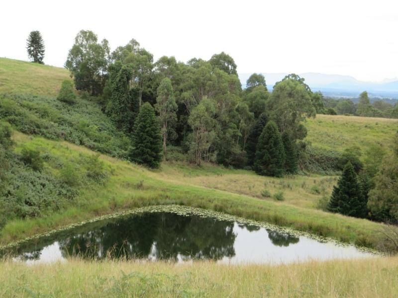 Hogarth Range NSW 2469