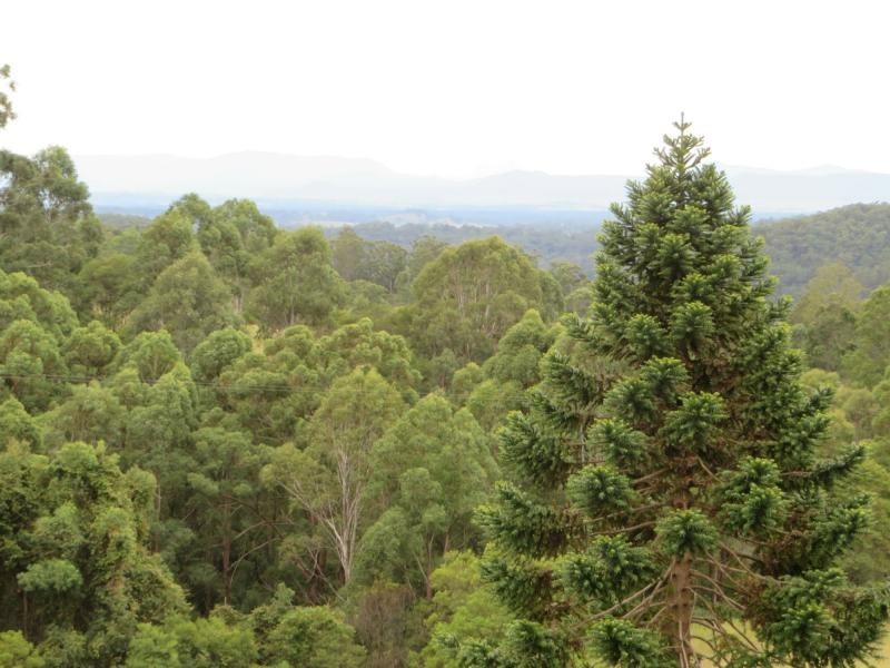 Hogarth Range NSW 2469